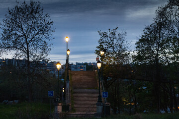 Fototapeta premium Seine embankment at the evening and night. Spring in Paris. Blossom and architecture. Insects and flowers. High resolution photo. 
