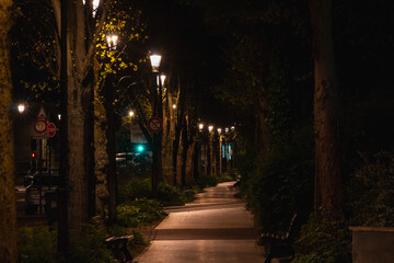 Fototapeta premium Seine embankment at the evening and night. Spring in Paris. Blossom and architecture. Insects and flowers. High resolution photo. 