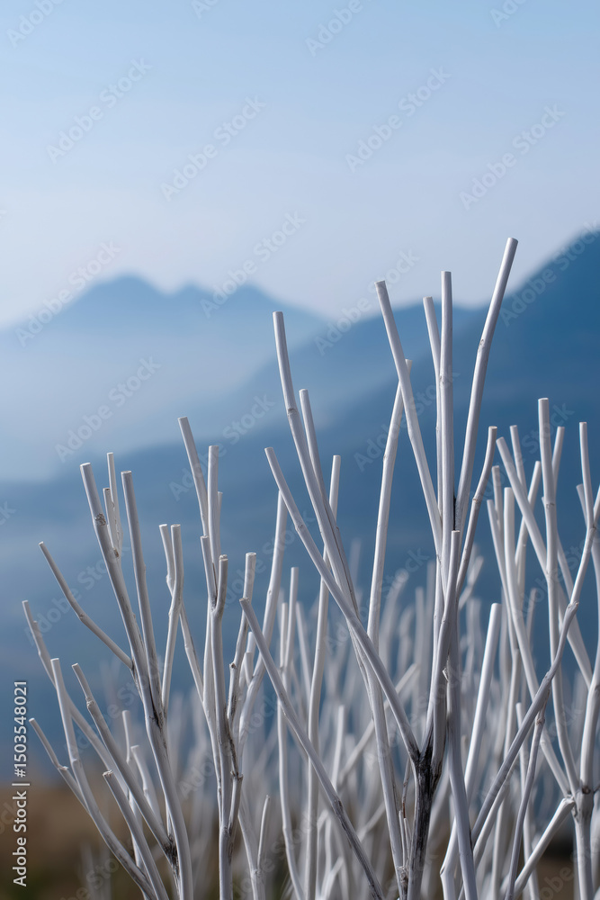 Poster a mountain range is in the background with a field of white grass in the foreground. the grass is co
