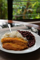 Breaded tilapia fillet with rice and beans, a healthy dish