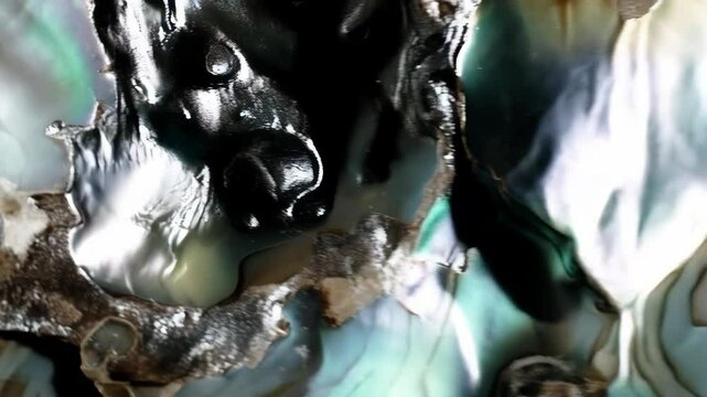 Intricate abstract close-up of abalone shell texture featuring iridescence and fluid patterns with dark and light coloration, suitable for backgrounds.