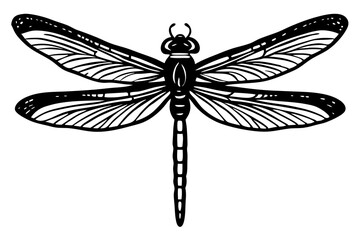 Abstract dragonfly silhouette dark background minimalist design