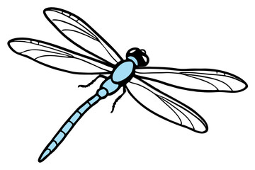 Elegant light blue dragonfly silhouette on black background