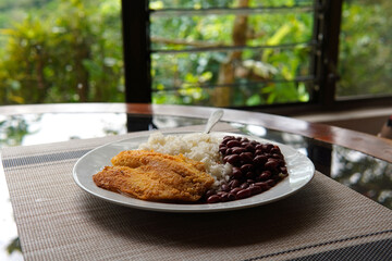 Rice and beans accompanied by a breaded tilapia fillet. Healthy Costa Rican lunch.