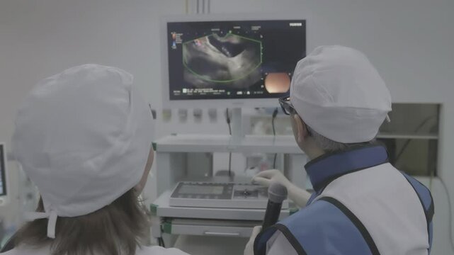 doctors examining real-time ultrasound imaging on screen using endoscopy equipment during medical diagnosis in modern hospital or clinical setting
