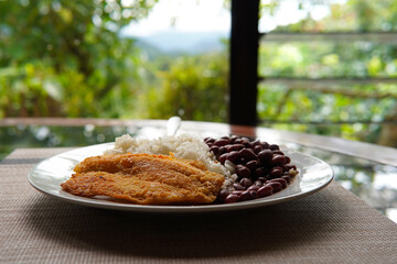 Rice and beans accompanied by a breaded tilapia fillet. Healthy Costa Rican lunch.