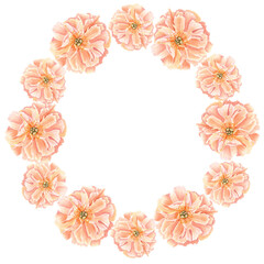 Peony flower head in soft peach tones watercolor round frame. Hand-painted wreath perfect for wedding invitations, feminine branding, packaging, fabric design, stationary and cards. Coral charm color