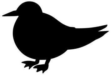 Fototapeta premium Arctic Tern Bird Silhouette Shadow Vector Drawing