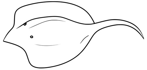 Stingray Ocean Fish Outline Line Art Vector Drawing