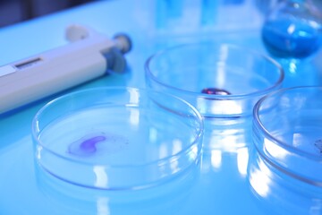 Petri dishes with samples on light blue background, closeup