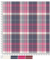 Detailed Plaid Fabric Swatch with Ruler and Color Palette for Textile Design