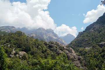 Scenic mountain view featuring verdant, tree-covered slopes under a partly cloudy sky. Foret de...