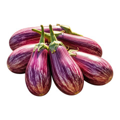 Fresh Striped Eggplant Harvest on transparent background