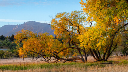 Beautiful scene of trees in fall colors with Rocky mountains in the background.