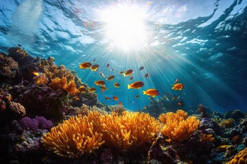 Vibrant underwater coral reef illuminated by sunlight with colorful tropical fish swimming around lively coral formations