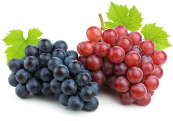 Fototapeta premium Two bunches of grapes, one red and one purple, with green leaves attached
