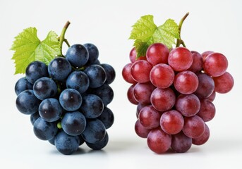 A view of two bunches of grapes one is purple and the other is a reddish hue