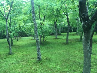 ポーラ美術館の庭