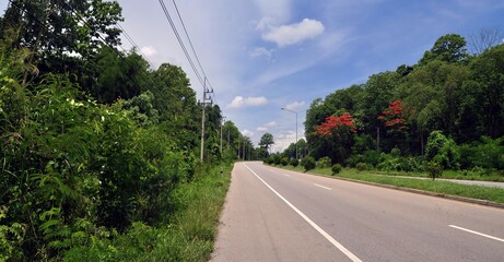 landscape of road to the mountains
