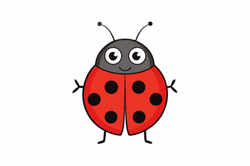 Fototapeta premium ladybird vector illustration