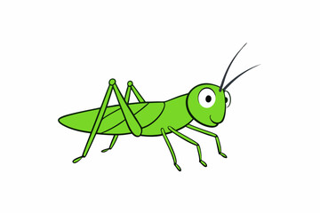 grasshopper isolated on white background