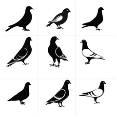 Obraz premium victor fill Black &White 004