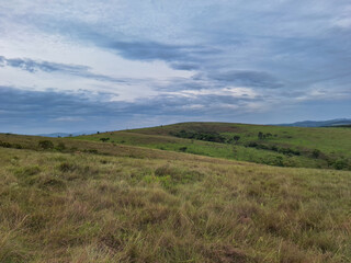 Fototapeta premium countryside