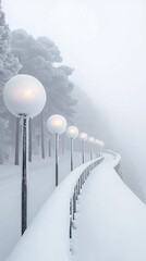 Snowy path with winter lights, and fog.