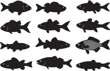 Fototapeta premium set of fishes