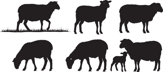 Sheep grazing and standing silhouette vector illustration