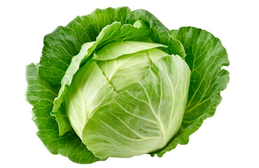 Fototapeta premium cabbage isolated on white background, full depth of field