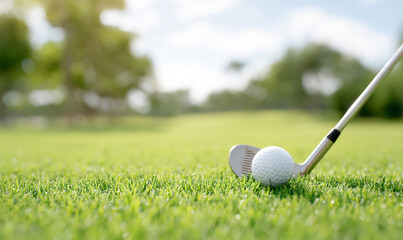 A golf club and ball on the green grass of a golf course background