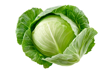 Fototapeta premium cabbage isolated on white background, full depth of field