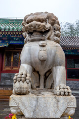 Beijing is known for its historical and cultural attractions, the Forbidden City, the Great Wall, the Old Summer Palace, luxurious and beautiful royal gardens, and traditional art.