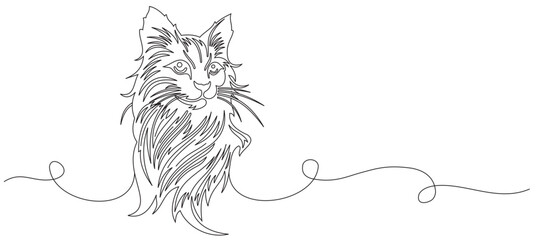 Cute cat vector on white background. Pets, Animals image logo.
