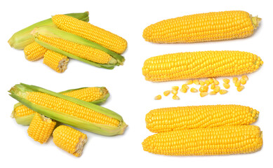 Set of fresh corn cob and grains isolated on white background