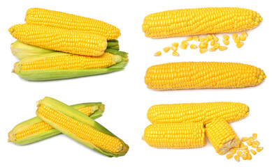 Set of fresh corn cob and grains isolated on white background