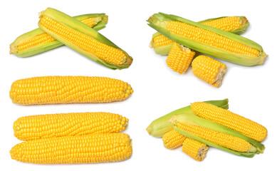 Set of fresh corn cob and grains isolated on white background