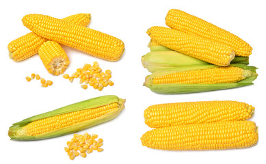 Set of fresh corn cob and grains isolated on white background