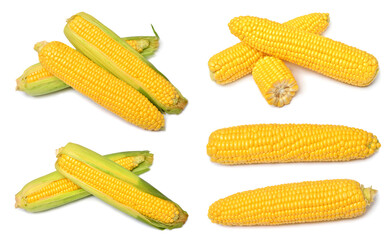 Set of fresh corn cob and grains isolated on white background