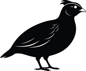 Bobwhite Quail vector Silhouette, Quail silhouette Vector illustration design.