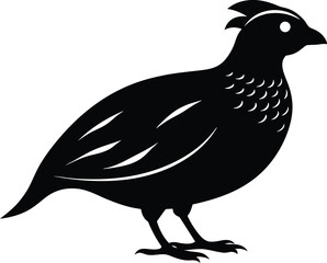Bobwhite Quail vector Silhouette, Quail silhouette Vector illustration design.