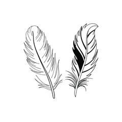 Obraz premium Feather Silhouette Illustration – Decorative Element for Design Projects.