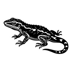 Obraz premium House lizard sketch engraving black and white outline. Scratch board imitation.