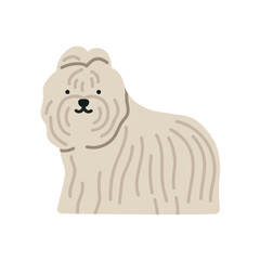 Cute illustration of Bichon dog standing. Can be used for pet-related marketing materials, educational content about breeds, prints, cards etc. Vector illustration isolated on white background. 