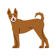 Illustration of Basenji dog standing. It can be used for pet-related marketing materials, educational content about breeds, prints, cards etc. Vector illustration isolated on white background.