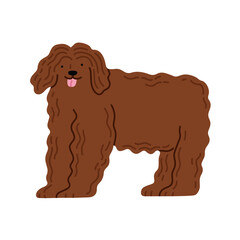 Illustration of Bergamasco Shepherd dog. Can be used for pet-related marketing materials, educational content about breeds, prints, cards etc. Vector illustration isolated on white background. 
