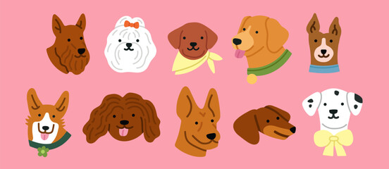 Vector illustrations set with cute dog's heads. Dalmatian, Basenji, Shepherd dogs, Golden Retriever, Corgi, Bichon etc. For pet-related marketing materials, content about breeds, prints, cards. 