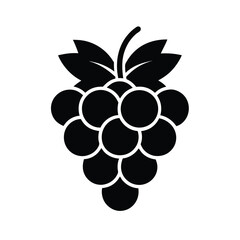 grapes icon vector illustration
