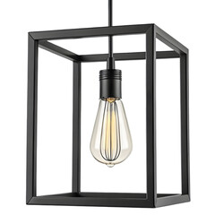 hanging bulb cage light with matte black industrial frame

